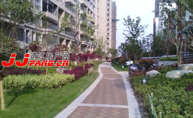 探盘---靖江阳光国际花园(图5) 阳光国际花园绿化实景图
