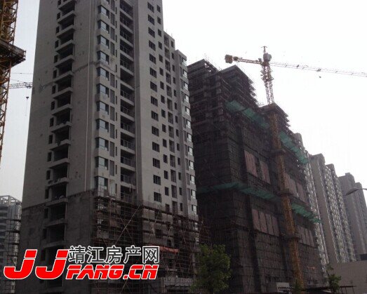 阳光国际花园6月探盘