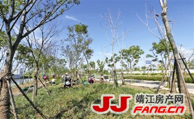 靖江南天生港景观步道成型(图1)