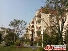 走进碧桂园三期-铂悦滨江花园