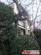 走进靖江中梁壹号院别墅现场