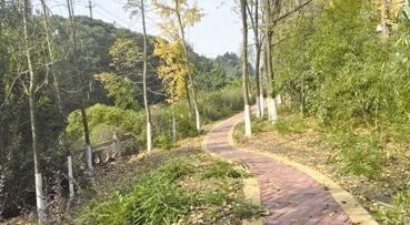 靖江真武河北路建设慢行步道