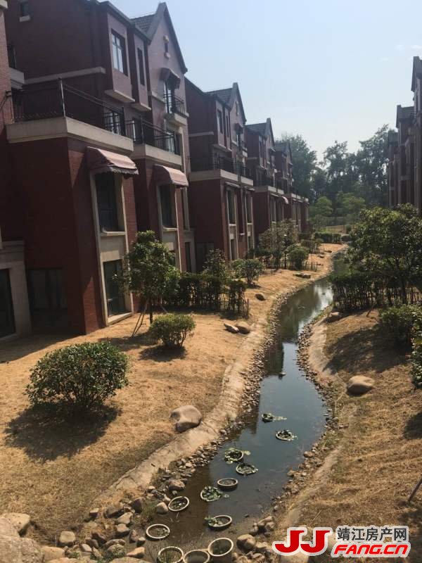 扬子英伦别墅出售(图4)